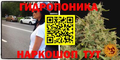 амфетамин Новозыбков