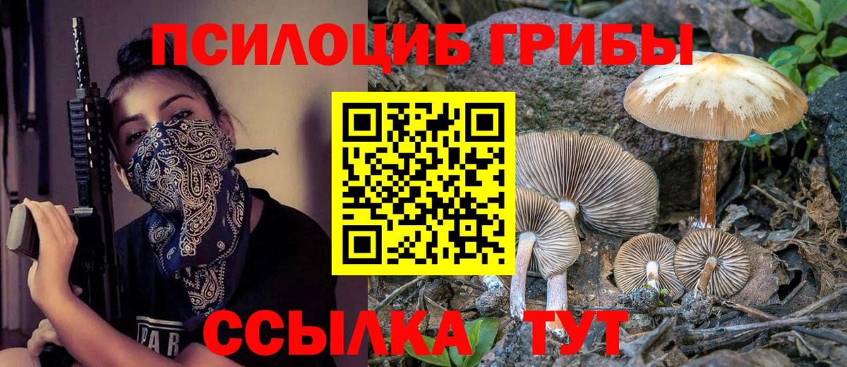 Уварово  Псилоцибиновые грибы прущие грибы  Вход с VPN 